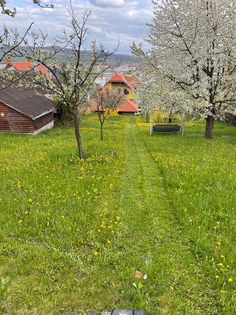 Előtte